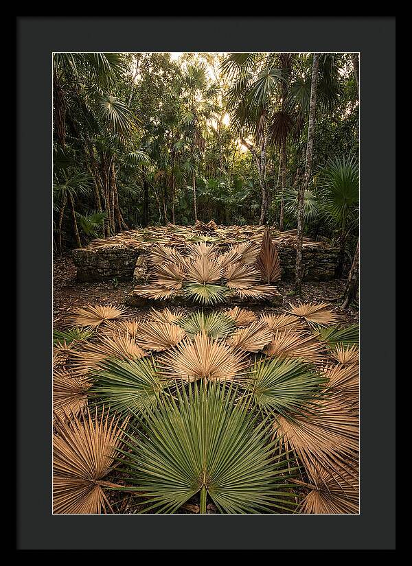 Tropical Leaf Motif