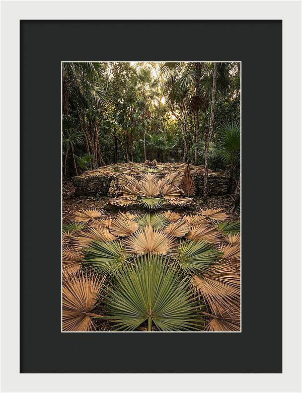 Tropical Leaf Motif