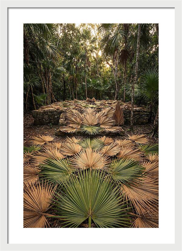 Tropical Leaf Motif