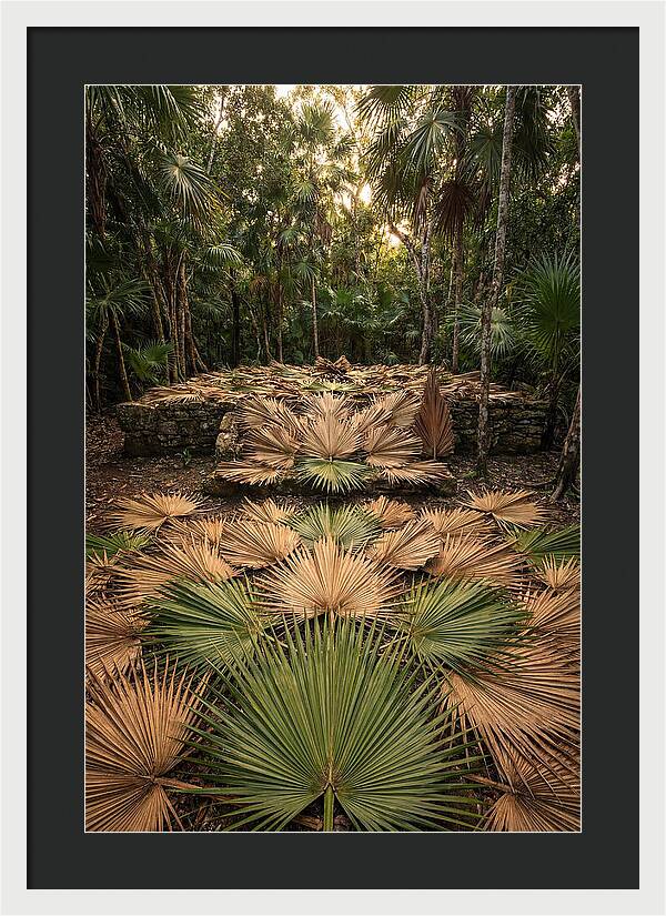 Tropical Leaf Motif