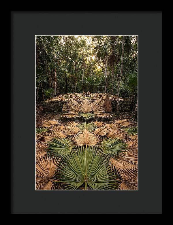 Tropical Leaf Motif