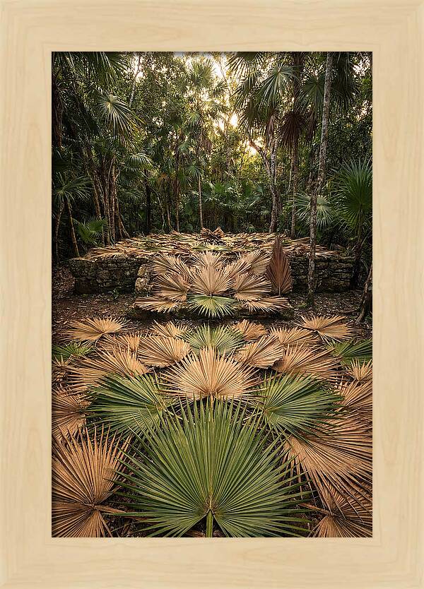 Tropical Leaf Motif