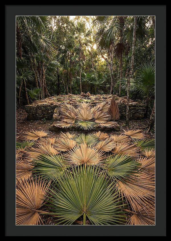 Tropical Leaf Motif