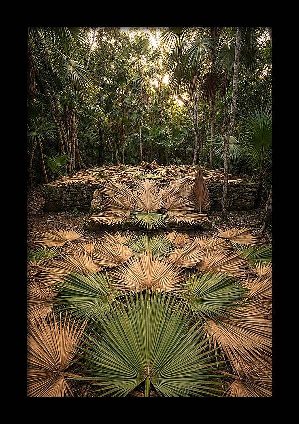Tropical Leaf Motif