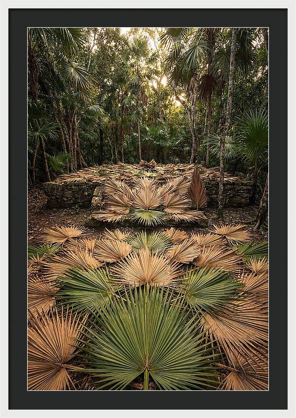 Tropical Leaf Motif