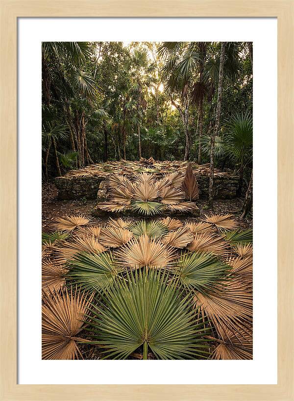 Tropical Leaf Motif