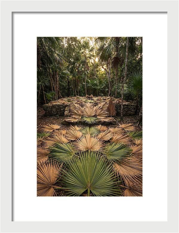 Tropical Leaf Motif