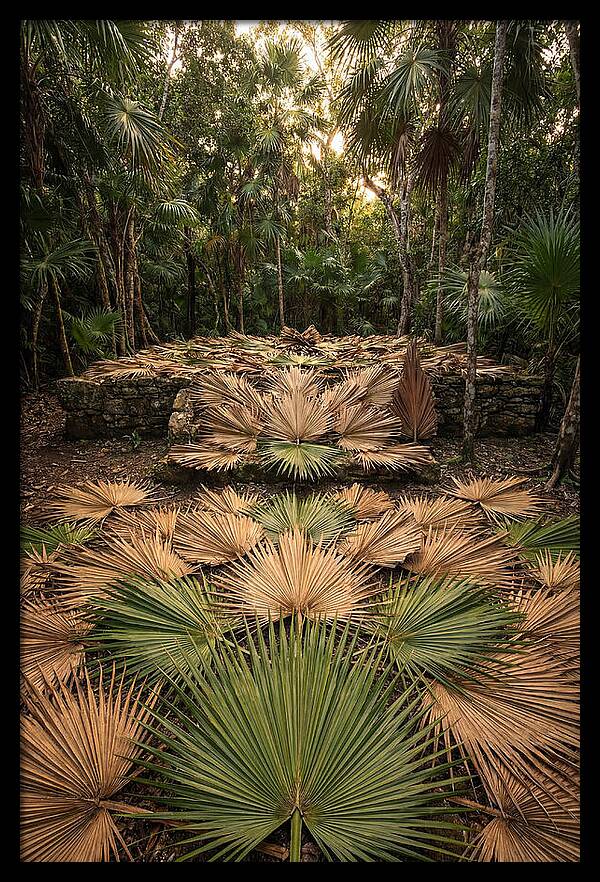 Tropical Leaf Motif