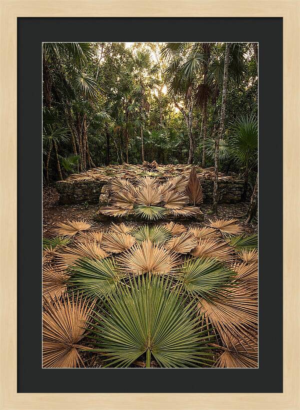 Tropical Leaf Motif