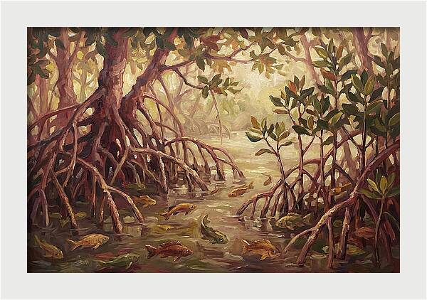 Tropical Mangrove Serenity