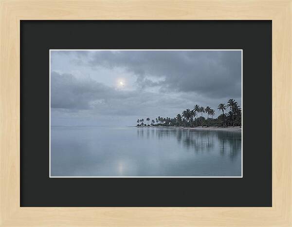 Tropical Moonrise Over Calm Waters