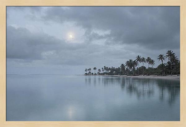 Tropical Moonrise Over Calm Waters