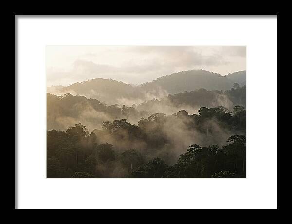 Tropical Morning Mist Rising