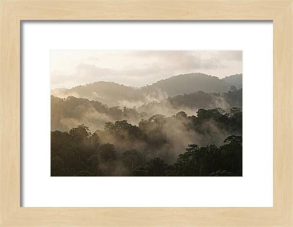 Tropical Morning Mist Rising