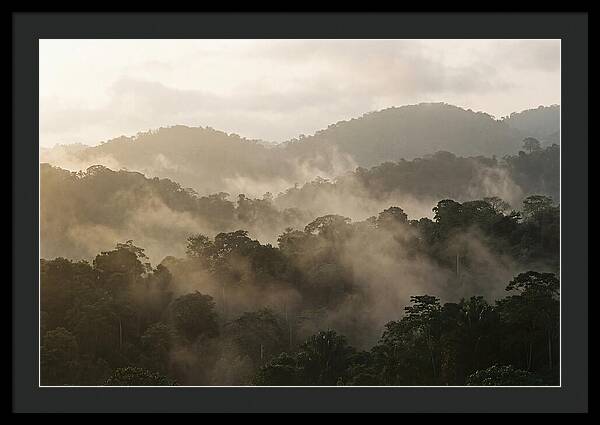 Tropical Morning Mist Rising