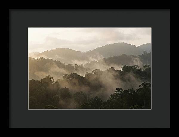 Tropical Morning Mist Rising