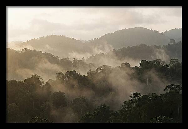 Tropical Morning Mist Rising