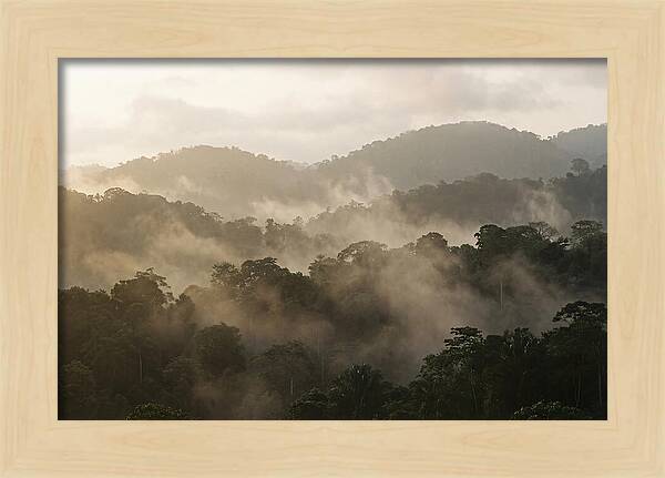 Tropical Morning Mist Rising