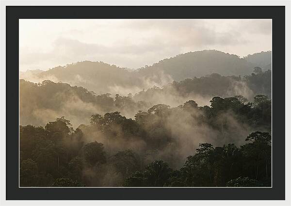Tropical Morning Mist Rising