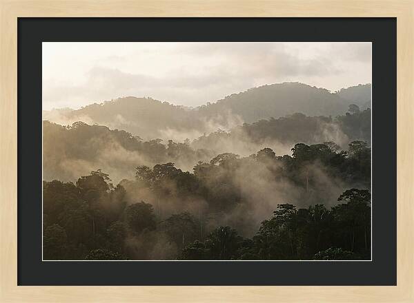 Tropical Morning Mist Rising