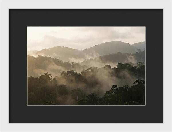 Tropical Morning Mist Rising