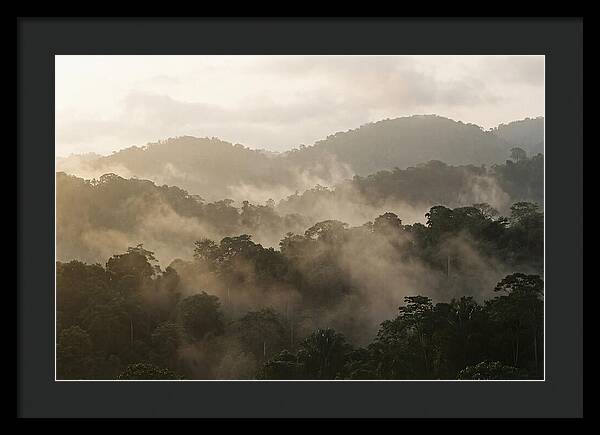 Tropical Morning Mist Rising