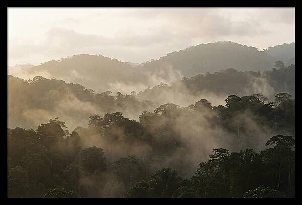 Tropical Morning Mist Rising