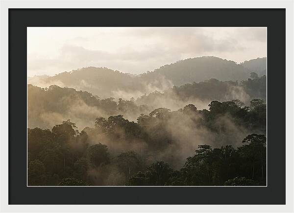 Tropical Morning Mist Rising