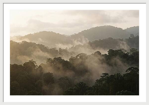 Tropical Morning Mist Rising