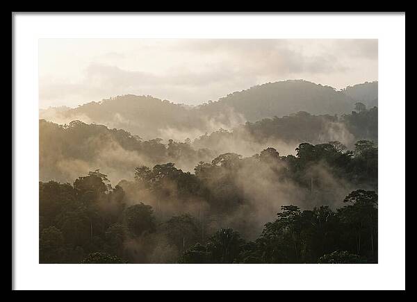 Tropical Morning Mist Rising