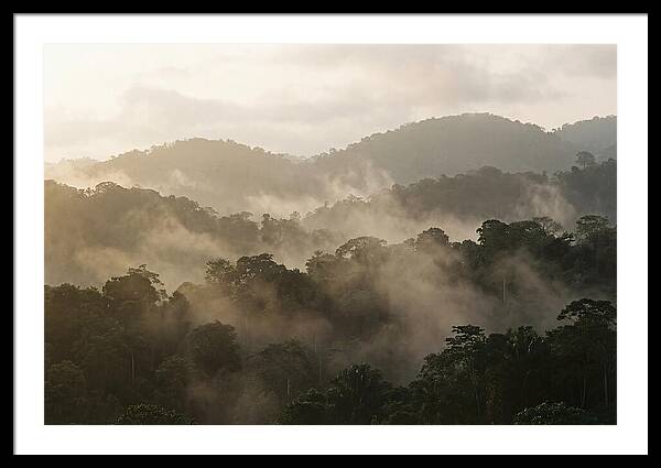 Tropical Morning Mist Rising