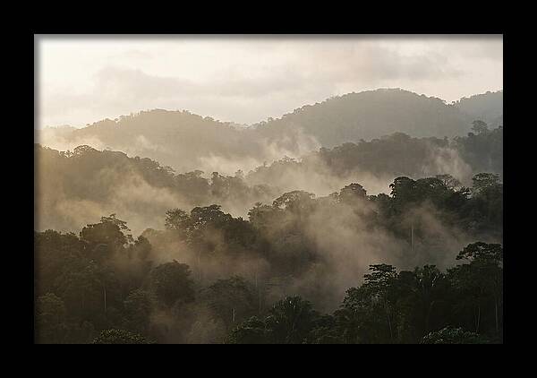 Tropical Morning Mist Rising
