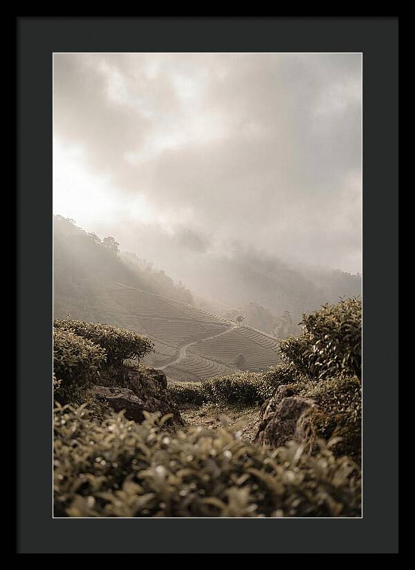 Tropical Mountain Serenity