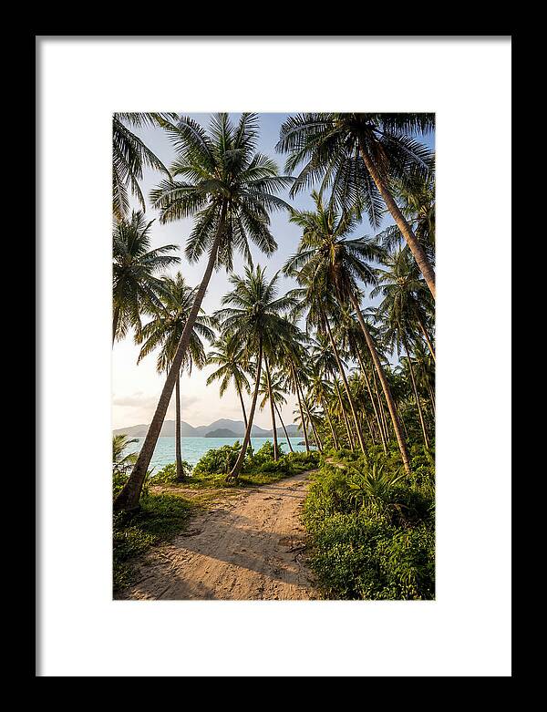 Tropical Oasis Tranquility