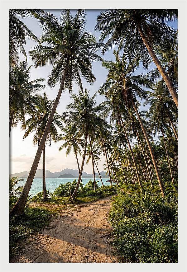 Tropical Oasis Tranquility