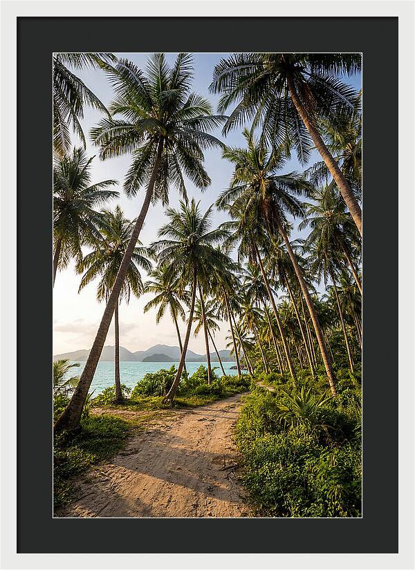 Tropical Oasis Tranquility