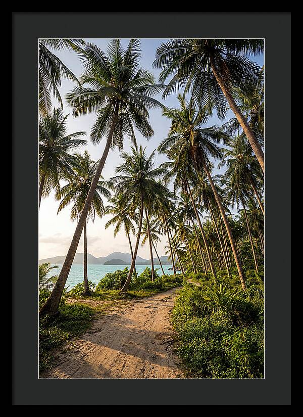 Tropical Oasis Tranquility