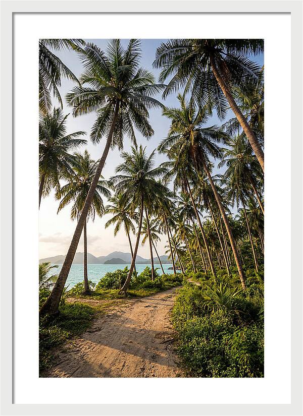 Tropical Oasis Tranquility