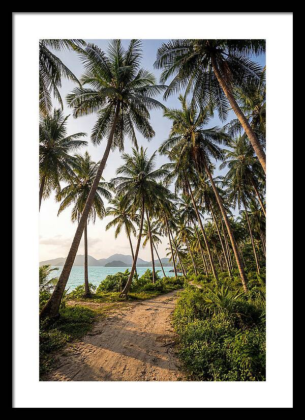 Tropical Oasis Tranquility