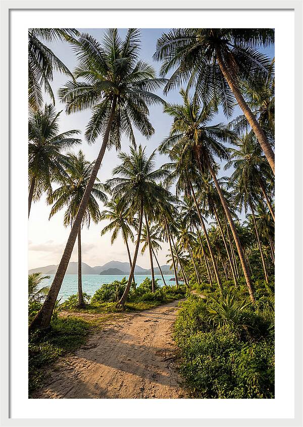 Tropical Oasis Tranquility