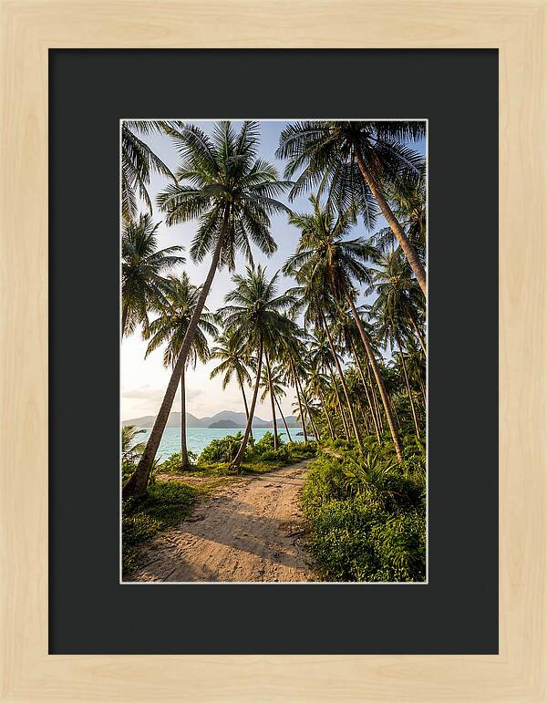 Tropical Oasis Tranquility