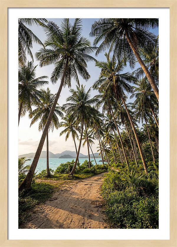 Tropical Oasis Tranquility