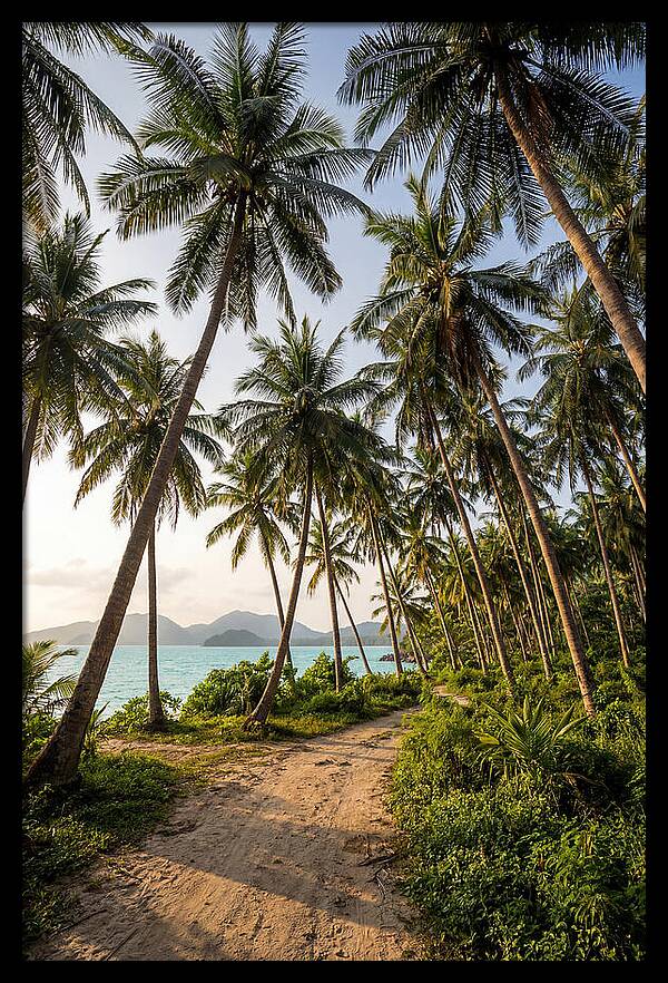 Tropical Oasis Tranquility
