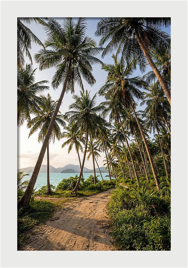 Tropical Oasis Tranquility