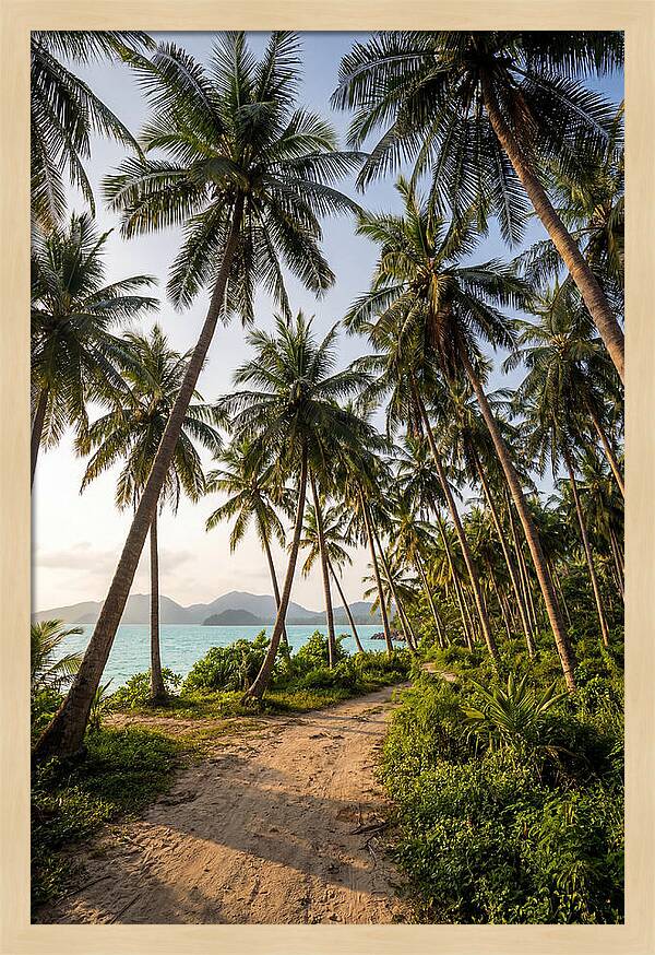 Tropical Oasis Tranquility