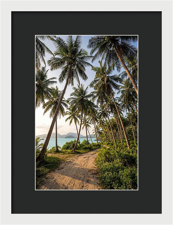 Tropical Oasis Tranquility