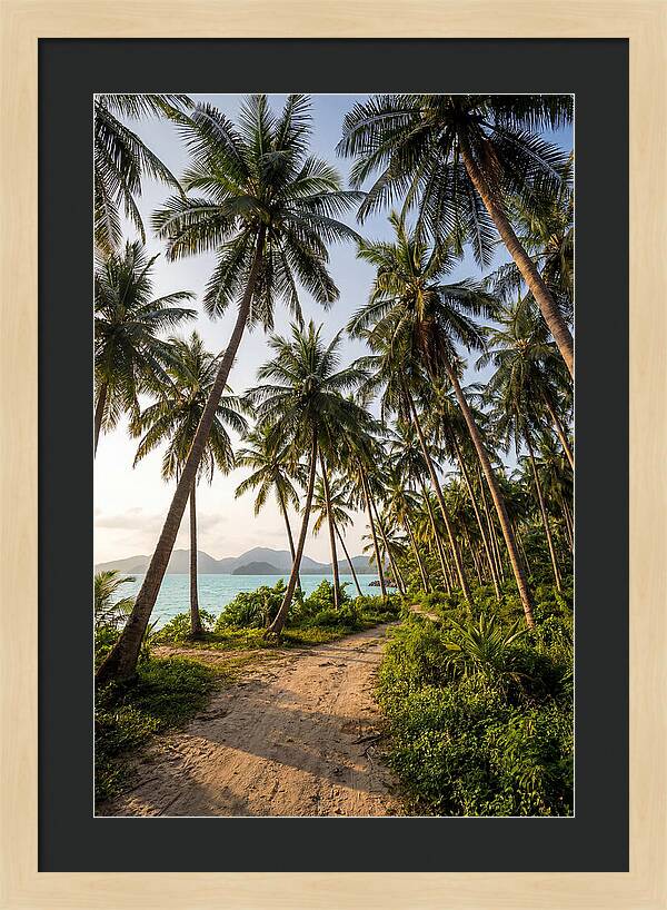 Tropical Oasis Tranquility