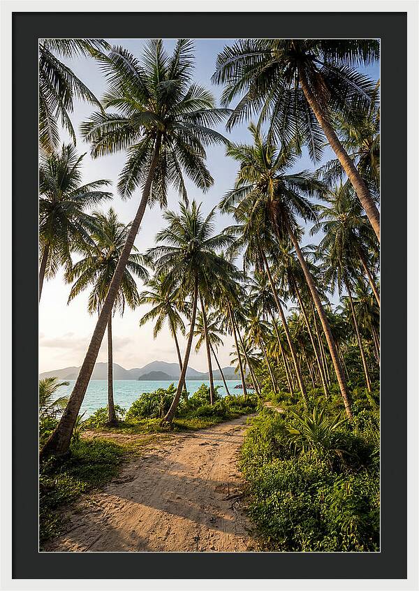Tropical Oasis Tranquility
