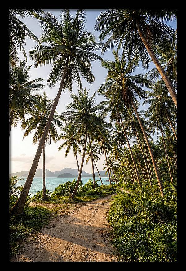 Tropical Oasis Tranquility