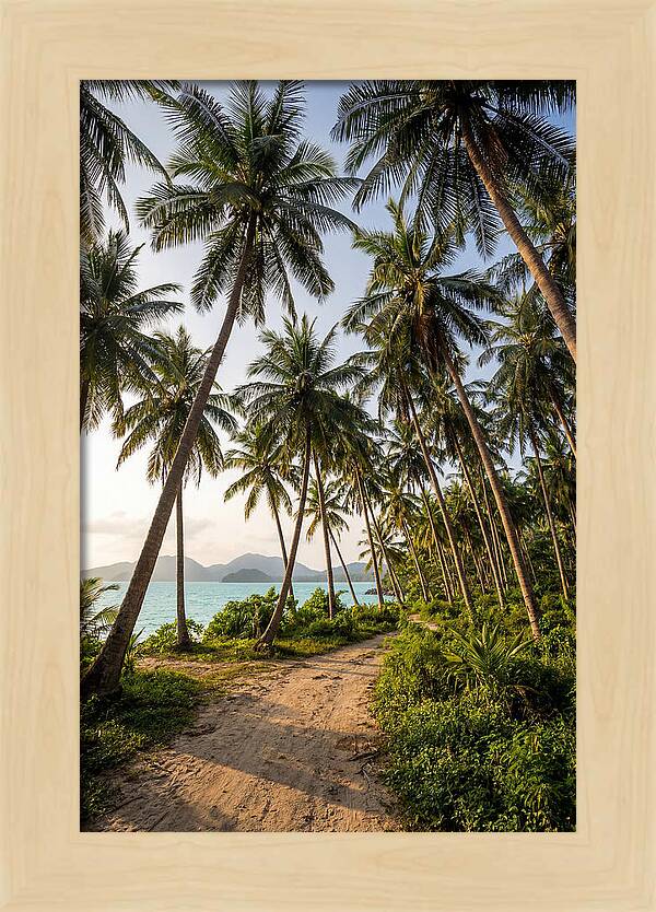 Tropical Oasis Tranquility